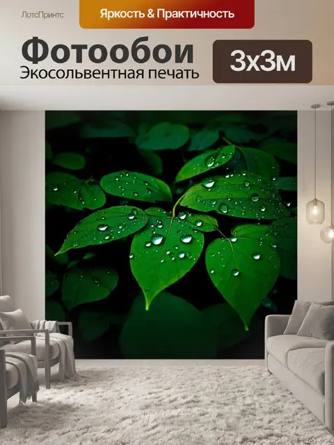Фотообои Листья темно-зеленого цвета с каплями воды на поверхности