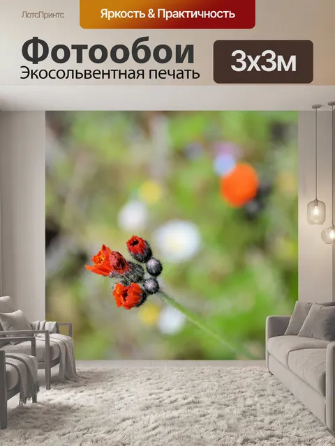 Фотообои Голландские цветы в садах 13