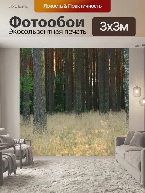 Фотообои лес