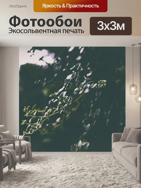 Фотообои Корень