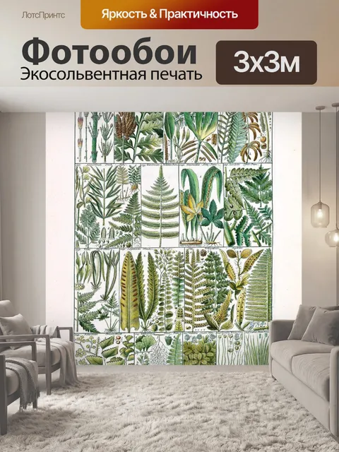 Фотообои Винтажный плакат с папоротником