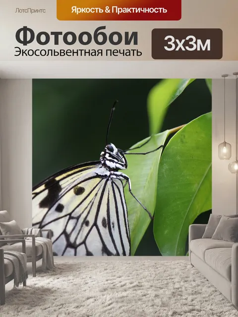 Фотообои Нимфа белого дерева