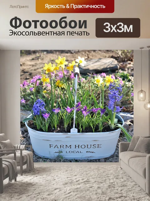 Фотообои Весенние цветы в ведре