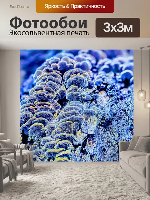 Фотообои Грибы