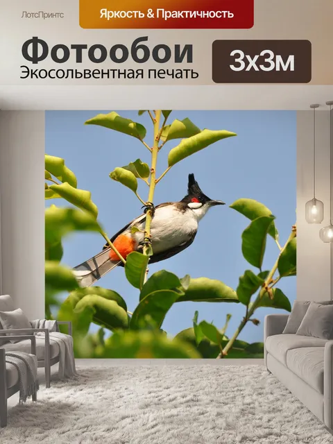 Фотообои Птицы