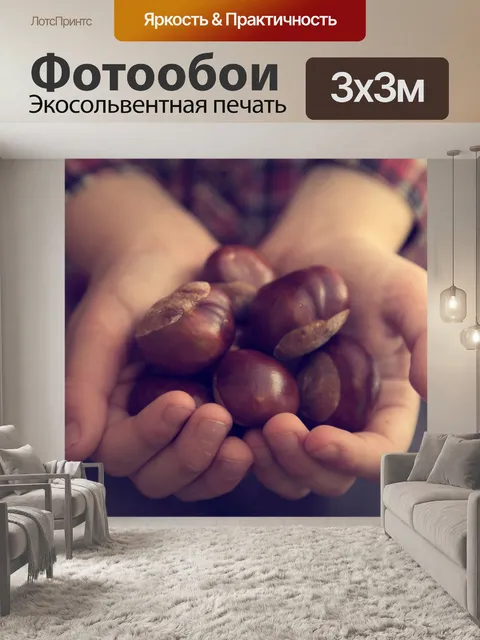 Фотообои Руки полны Каштаны