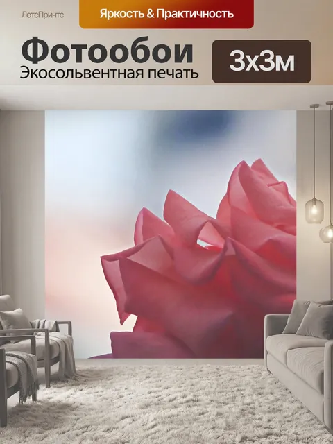 Фотообои Роза