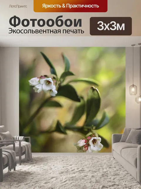 Фотообои Цветок