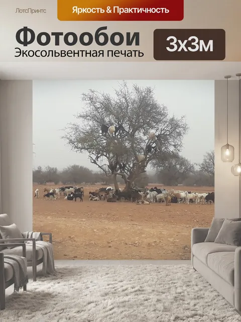 Фотообои Аргана