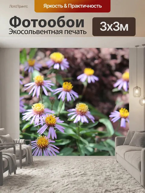 Фотообои Цветок Розовая маргаритка