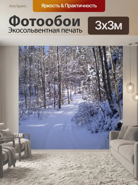 Фотообои Снегоход Trail
