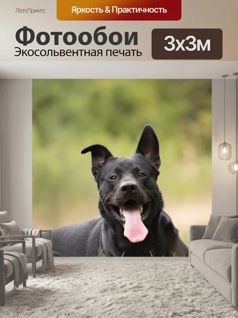 Фотообои Немецкий шепрадор
