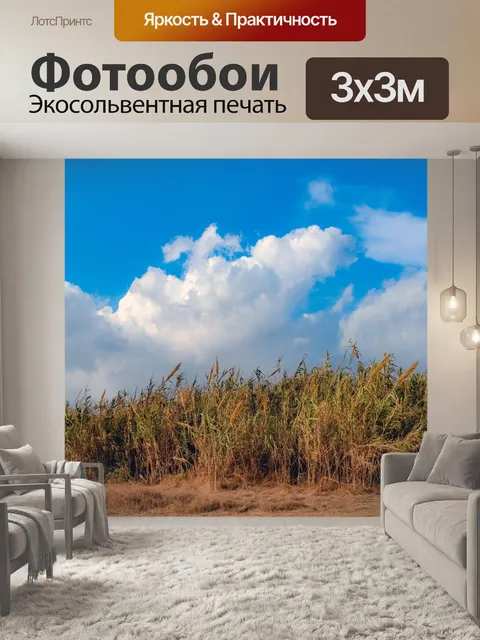 Фотообои Камыши