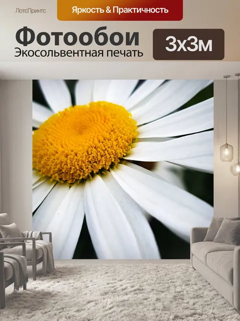 Фотообои Цветы