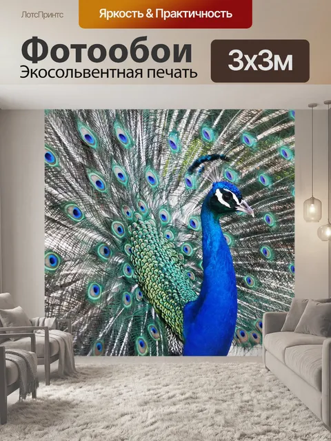 Фотообои Павлин