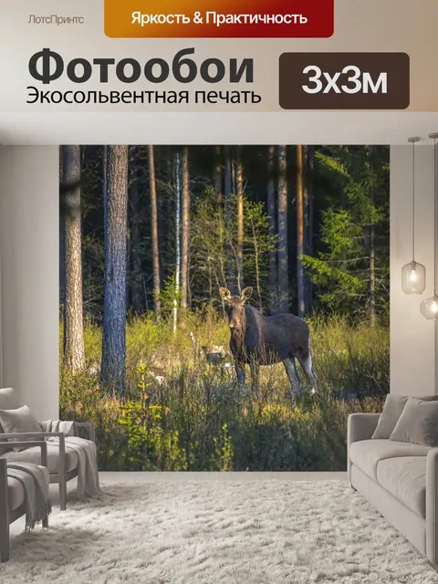 Фотообои Лось