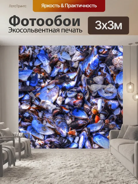 Фотообои Яркий цвет раковины