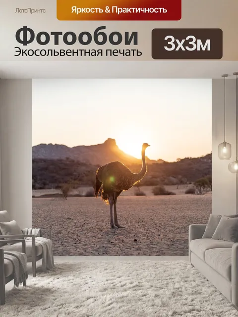 Фотообои Штраус