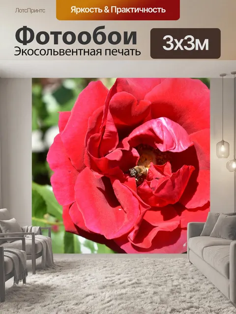 Фотообои Красный