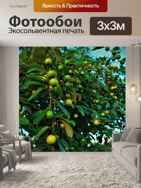 Фотообои Фрукты