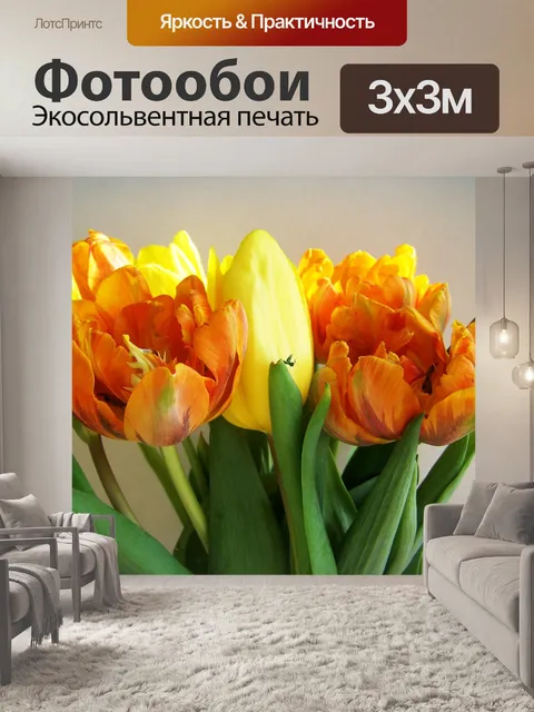 Фотообои Букет тюльпанов