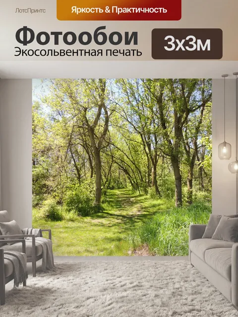 Фотообои Путь в лесу