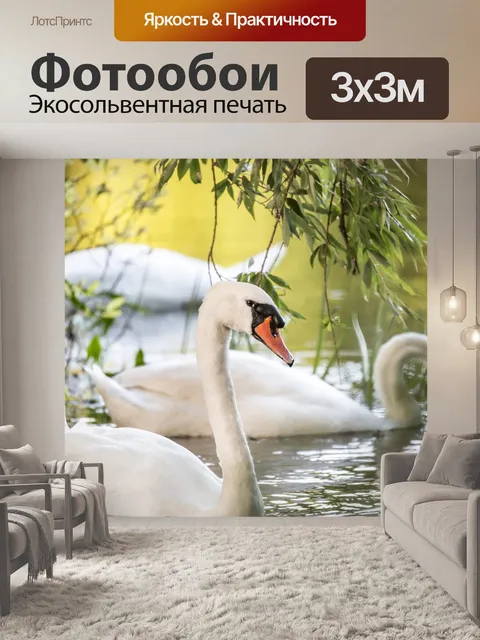 Фотообои Птица