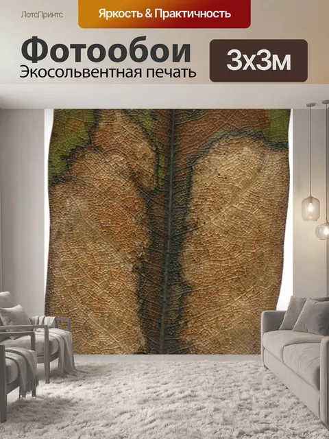 Фотообои Лист магнолии