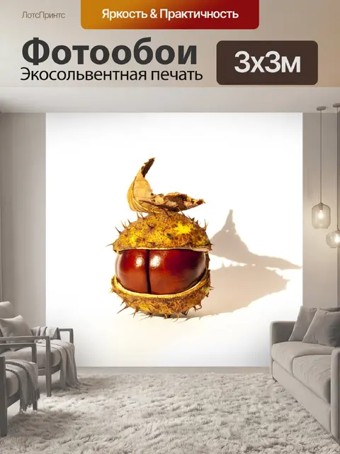 Фотообои Каштан