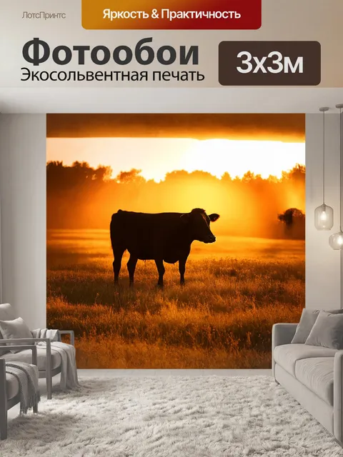 Фотообои на фоне яркого заката, черная корова-ангус бродит по полю, рассекая золотистые лучи света