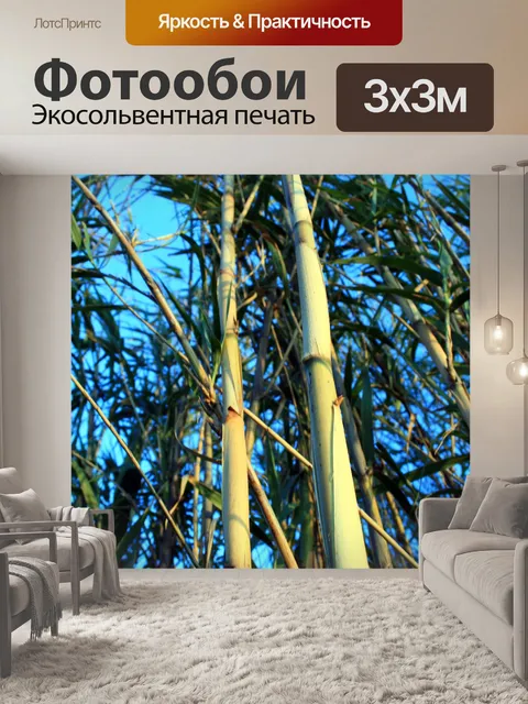 Фотообои камыш прямо