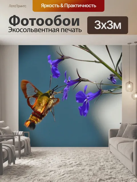 Фотообои Бабочка