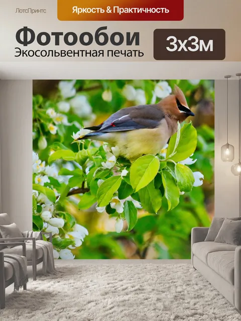 Фотообои Богемский Восквинг