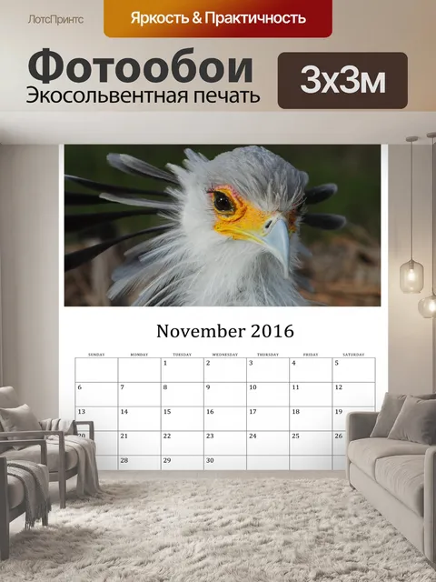 Фотообои Ноябрь 2016 Календарь птиц