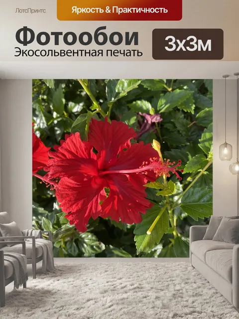 Фотообои Темно-красный гибискус
