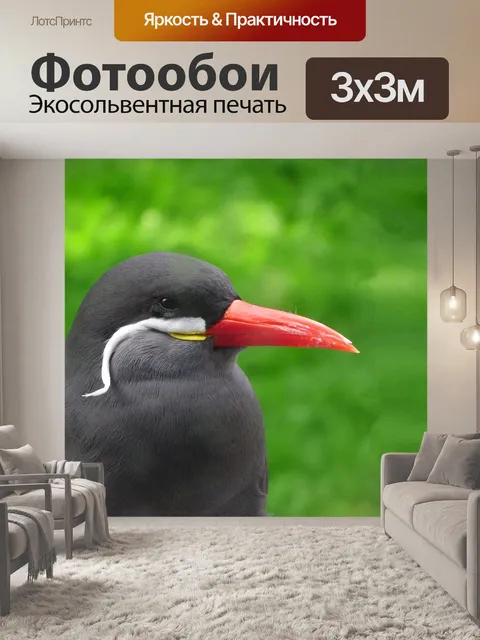 Фотообои Птица