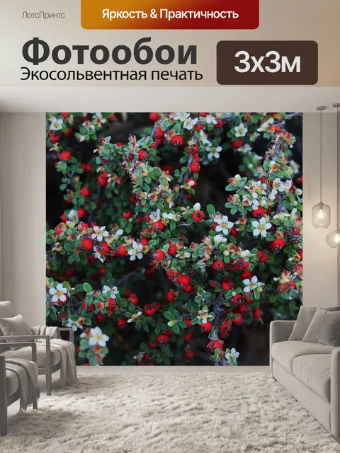 Фотообои Красные ягоды
