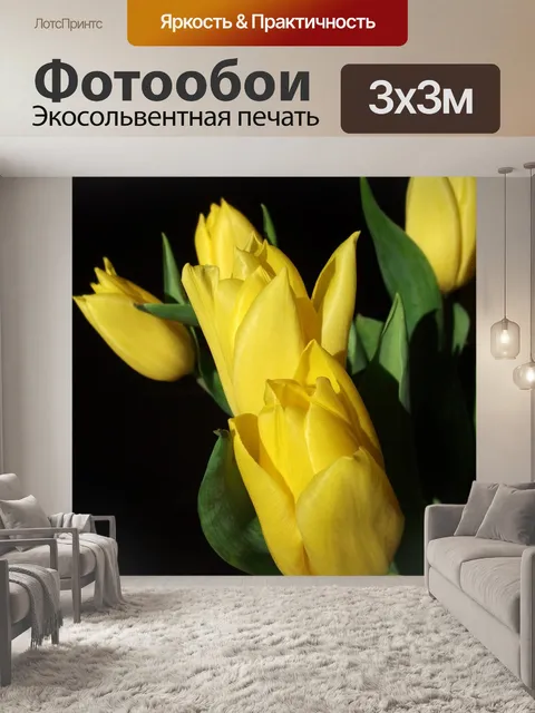 Фотообои Тюльпаны