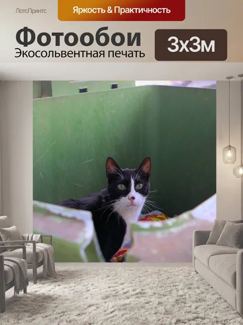 Фотообои Кот в мусорное ведро