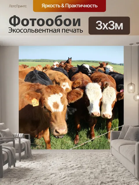 Фотообои Стадо коров и лошадей пастбищ