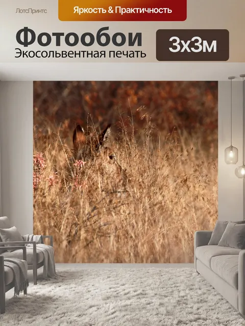 Фотообои скрытый вид на голову водяного козла