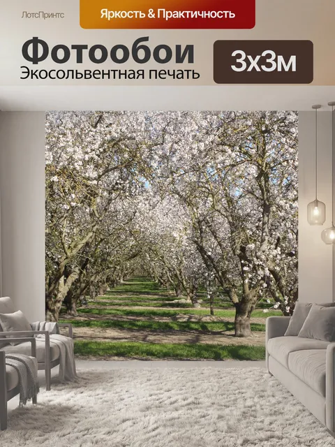 Фотообои Абрикосовые деревья
