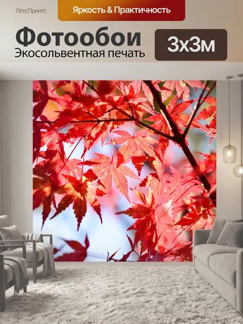 Фотообои Япония