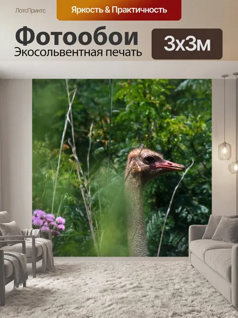 Фотообои голова самки страуса