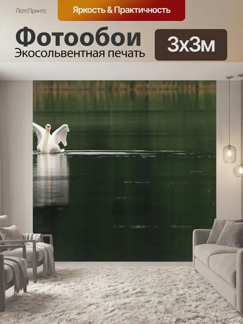 Фотообои Лебедь