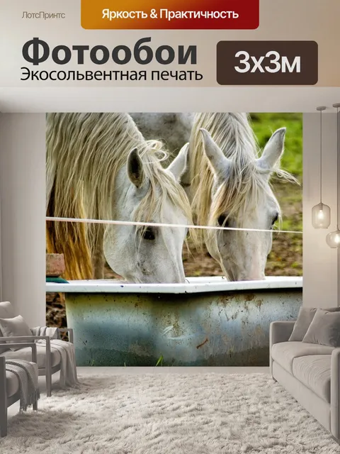 Фотообои Лошадь