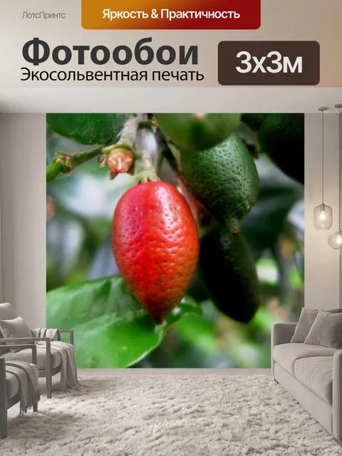 Фотообои красный орнамент плод экзотики