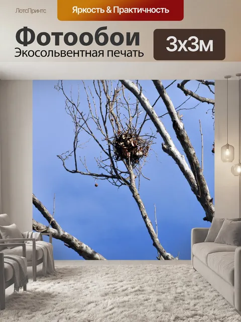 Фотообои Птичье гнездо в дерево
