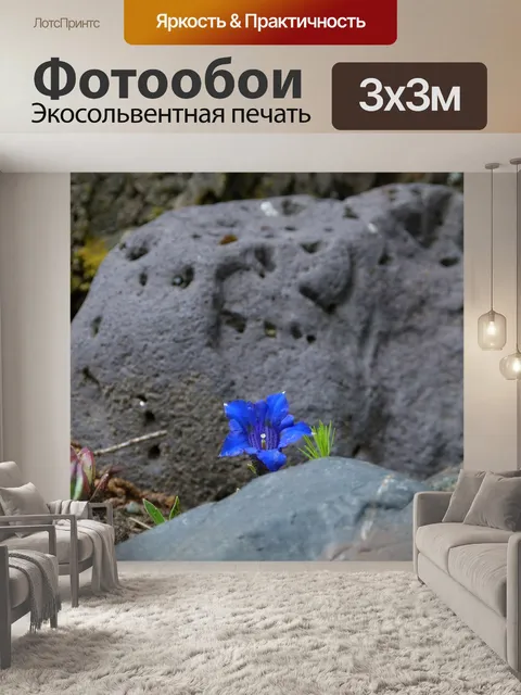 Фотообои Вулканический