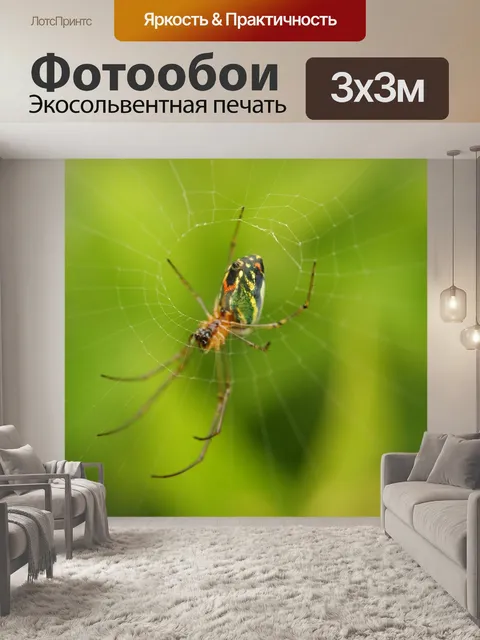 Фотообои Картинки